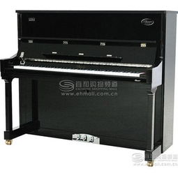 高性价比乐器价格解析 16610元与16840元商品对比及选购指南